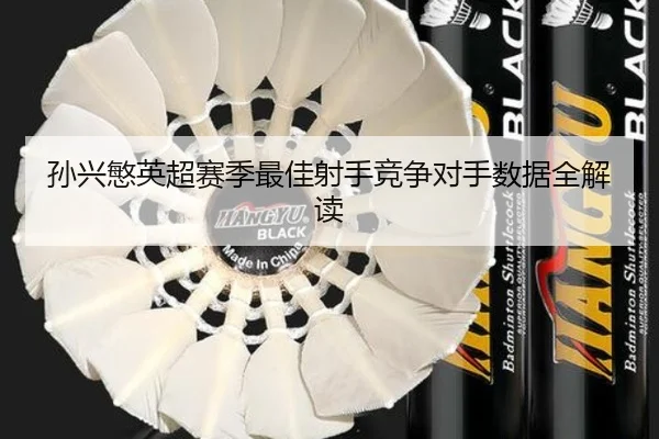 孙兴慜英超赛季最佳射手竞争对手数据全解读